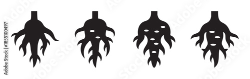 Four stylized black root vegetable silhouettes are presented in a horizontal row, featuring diverse organic shapes, intricate root systems, and abstract details.