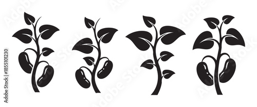 Four black silhouette bean plants growing with leaves and pods illustrate agricultural development, healthy eating, and organic food production concepts.