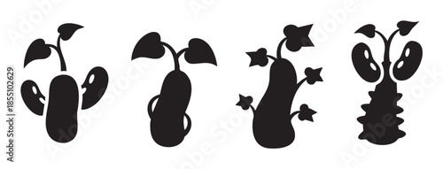 Growing plant sprouts in different stages of development, illustrating the life cycle and growth process of a seedling from germination to early growth.
