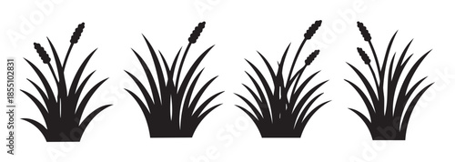 Cattails and reeds vector silhouettes depicting marshland plants in a simple graphic style, perfect for nature-themed designs and wetland illustrations.
