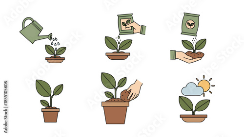 Nurturing Green: A step-by-step illustration of nurturing a seedling, from watering to sunlight, highlighting the process of cultivating plant growth.