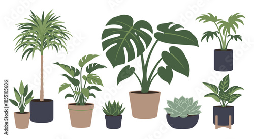Assorted indoor houseplants in various decorative pots are arranged to create a lush urban jungle atmosphere for interior design inspiration.