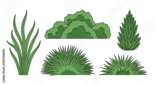 Selection of various green plants, bushes, and grass clumps in different shapes and styles for landscaping or garden design.