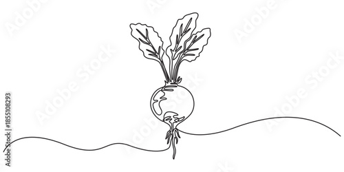 Continuous one line drawing of whole and half sliced healthy organic raw beetroot for farm logo identity. Fresh table beet concept vegetable icon. Single line draw design vector graphic illustration, 