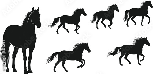 Running horse silhouettes collection vector illustration equine animals in dynamic poses isolated on white background for logo sport design use