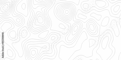 White wave paper curved reliefs abstract background, Abstract topographic contours map background. Black and white lines seamless Topographic map patterns, topography line map.