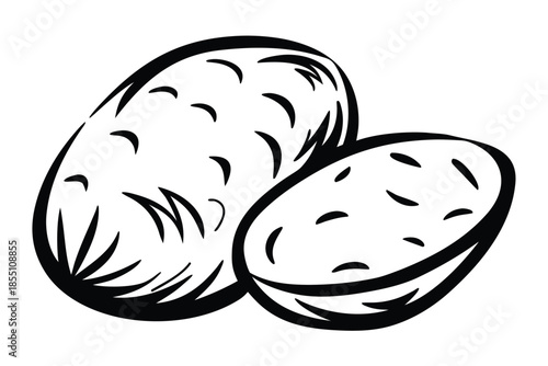 Raw Potatoes in Line Art Style on White Background. Cooking Ingredient