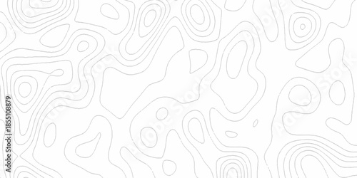 White wave paper curved reliefs abstract background, Abstract topographic contours map background. Black and white lines seamless Topographic map patterns, topography line map.