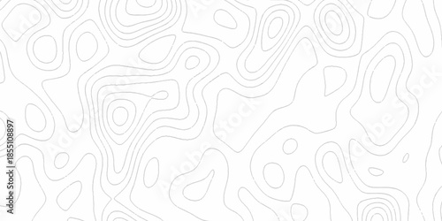 White wave paper curved reliefs abstract background, Abstract topographic contours map background. Black and white lines seamless Topographic map patterns, topography line map.