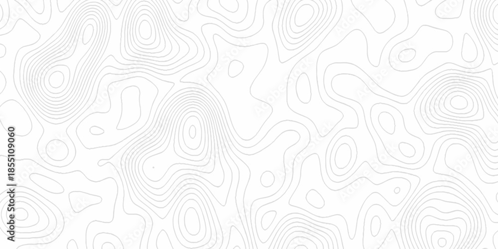 Fototapeta premium White wave paper curved reliefs abstract background, Abstract topographic contours map background. Black and white lines seamless Topographic map patterns, topography line map.
