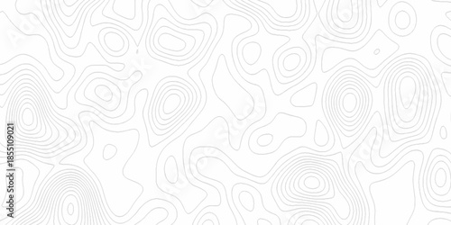 White wave paper curved reliefs abstract background, Abstract topographic contours map background. Black and white lines seamless Topographic map patterns, topography line map.