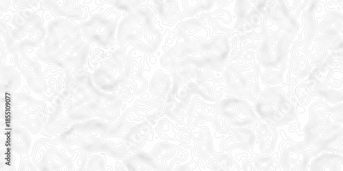White wave paper curved reliefs abstract background, Abstract topographic contours map background. Black and white lines seamless Topographic map patterns, topography line map.