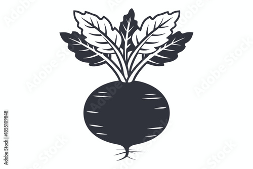 Silhouette of Fresh Beetroot Plant with Leafy Greens on White Background