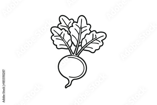 Simple Radish Outline with Green Leaves on White Background