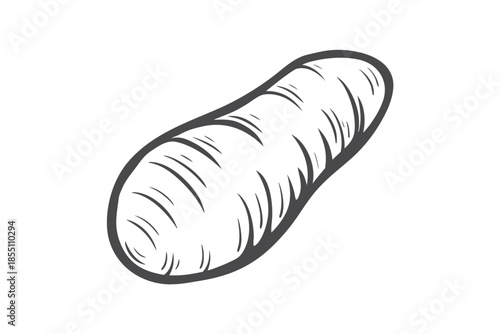 Simple Fresh Raw Potato Vegetable Isolated on White Background