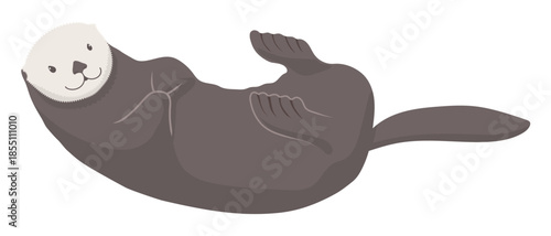 仰向けラッコのイラスト