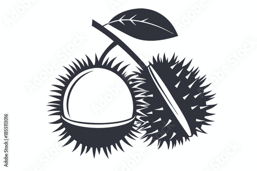 Thorny rambutan fruits hang beneath an isolated leaf and branch, presented as an artistic black silhouette