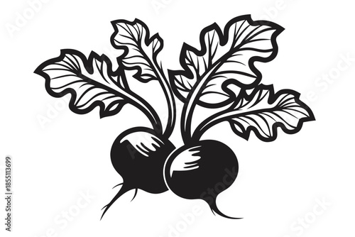 Two Black Radish Roots with Leaves on White Background Isolated