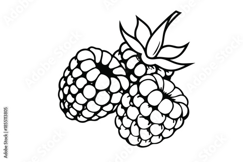 Two blackberries with Leaves Icon Isolated on White Background