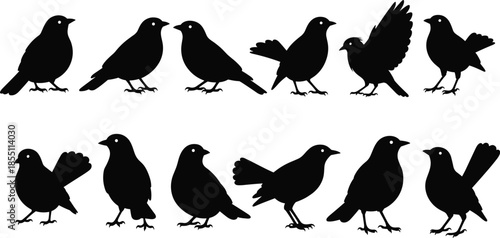 Ten black silhouettes of birds with wings in various positions