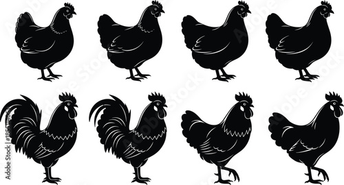 PrintCollection of Chicken and Rooster Silhouettes for Farm Branding, Poultry Logo Design, Agriculture Projects, Livestock Farming, Country Life, and Organic Food