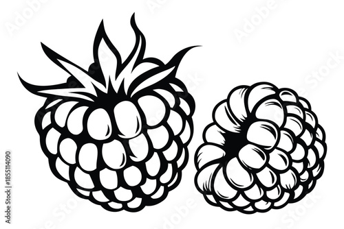 Two detailed black raspberry designs present a striking contrast in size and form