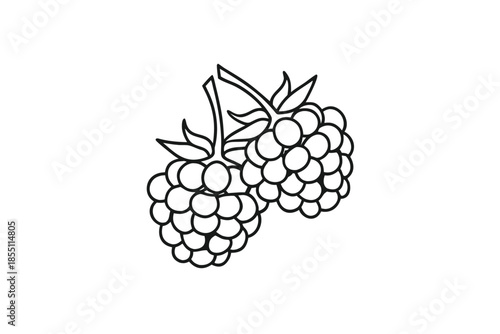 Two Raspberries Outline Style, Black Line Art Design on White Background