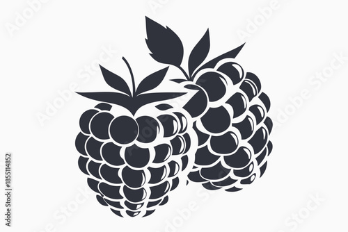 Two raspberries showcase minimalist black outlines and a pop of red coloring on the white background