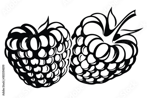 Two ripe raspberries are prominently displayed in a striking black and white image