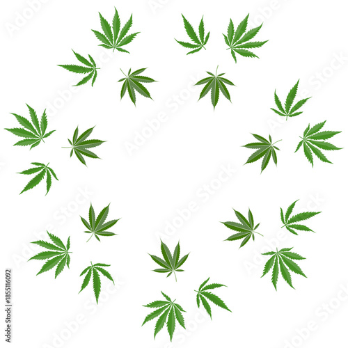 Vector illustration of cannabis leaves arranged in a dense double circular wreath on a white background, ideal for medical cannabis, cbd branding, packaging, labels, wellness and pharmacy design.