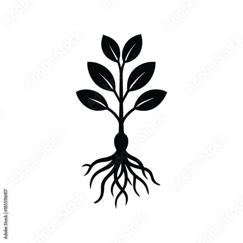 Plant seedling with roots and leaves, a symbol of growth, nature, and new beginnings