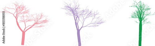 vector illustration of a tree