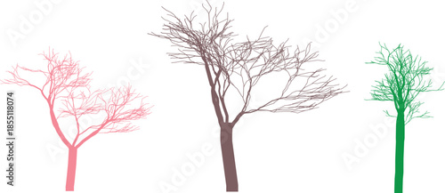 Three different colored bare trees standing tall against a transparent checkered background, showcasing their unique branch structures.