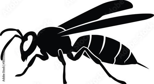 Hornet Silhouette Vector Illustration on White Background