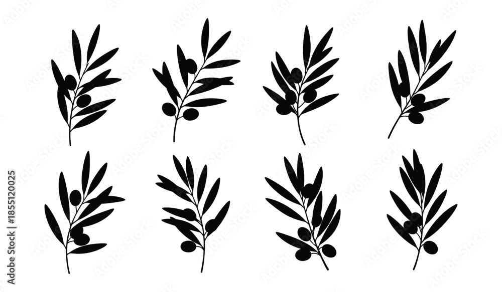 Obraz premium Olive branches with fruits vector set, elegant black leaves and olives, healthy food and mediterranean diet symbols illustration isolated