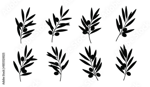 Olive branches with fruits vector set, elegant black leaves and olives, healthy food and mediterranean diet symbols illustration isolated