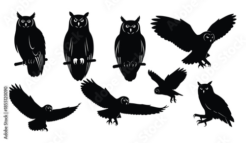 Owl birds set, vector black silhouettes of different owls in various poses, flying and standing, nocturnal predators