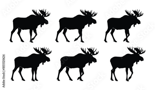 Set of black moose vector silhouettes, majestic animal with large antlers, various moose icons on white background