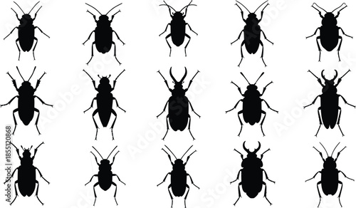 Black beetles with antennae and legs in a grid pattern on white background insects