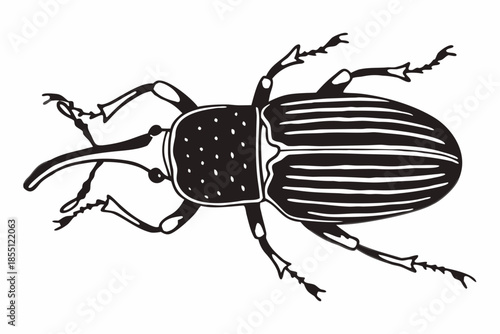 Stylized Black and White Beetle Insect Illustration