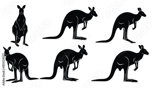Set of six kangaroo vector silhouettes in various poses, standing and hopping, isolated on white background, Australian wildlife