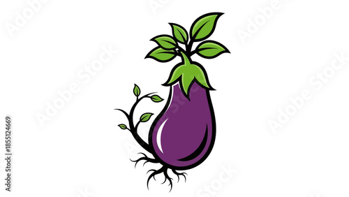 Purple Eggplant Growing With Green Leaves and Roots on White Background