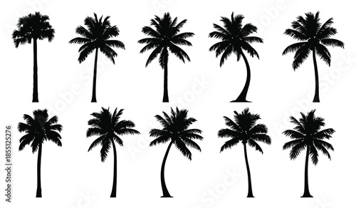 Tropical palm trees silhouettes set featuring various shapes and sizes ideal for vacation beach designs island theme