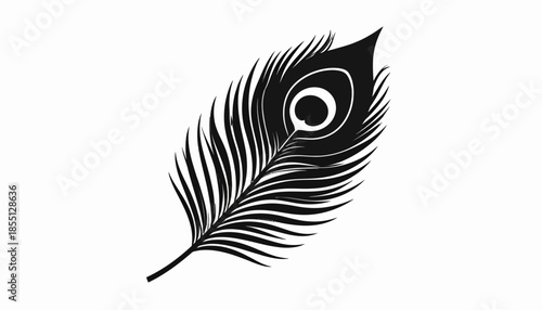Elegant black and white peacock feather illustration on white background.