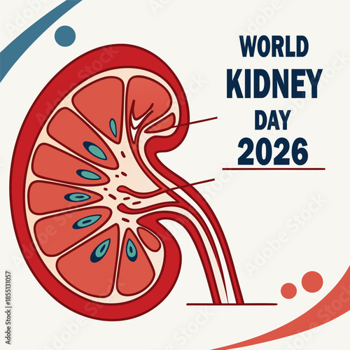 An anatomical cross-section of a kidney highlights World Kidney Day 2026.
