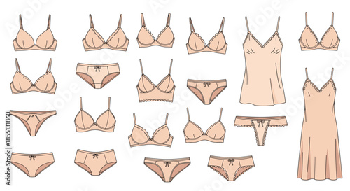 Comprehensive collection of elegant women's lingerie items including various bra styles, panties, and comfortable nightgowns.