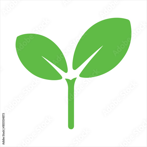 A simple green sprout illustration depicting new life and growth
