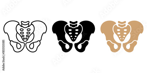 Human pelvis bone icons set in outline, solid black, and tan color styles, pelvic girdle anatomy vector illustration isolated on white background