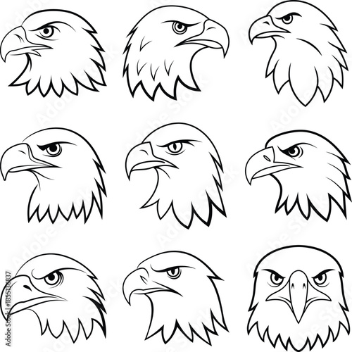 eagle head vector art transparent background
