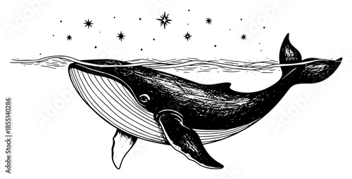 Whale Swimming under Stars - Vector Vintage Ocean Engraving